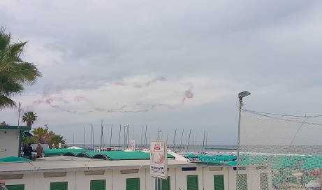 frecce-tricolori11