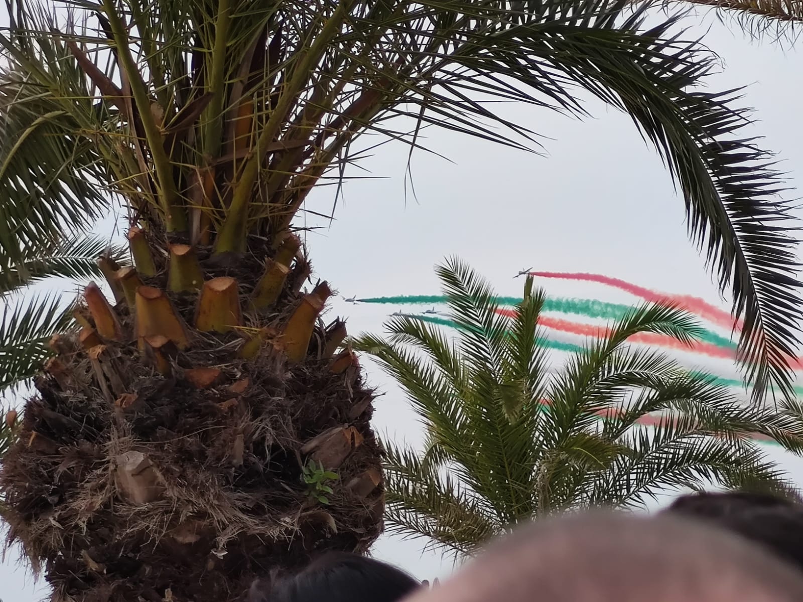 frecce-tricolori61