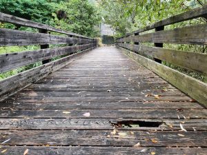Ciclopedonale nel degrado: altro pericolo sul fiume Castellano <span> (Video e foto) </span>