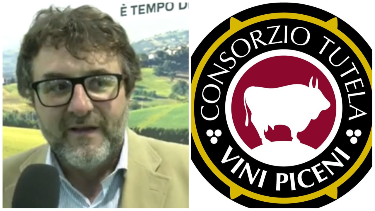 Termine “Montepulciano”, Savini del Consorzio Vini Piceni: «Non si consideri il vitigno proprietà privata»