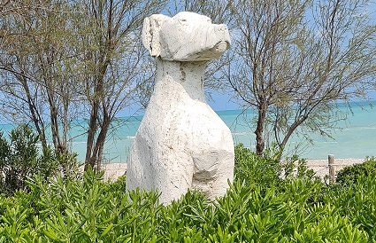 “Puliamo il mondo”, studenti in azione alla Dog Beach