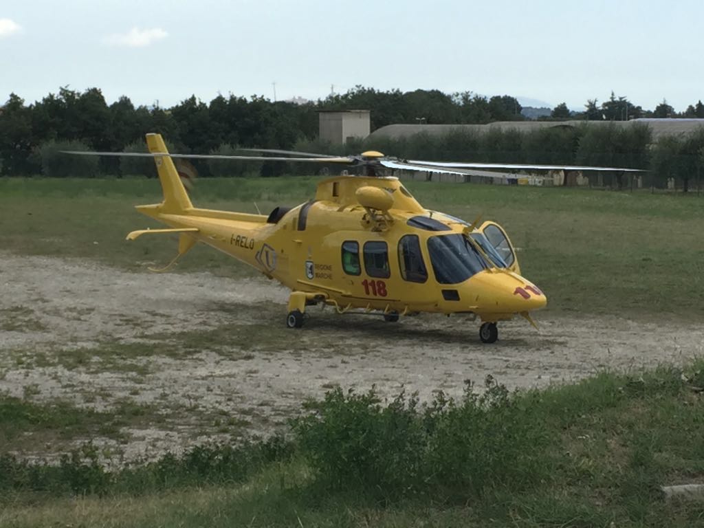Colpito in testa da un ramo, muore operaio 63enne