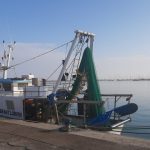 Pesca, Albano: «Con la “Cambiale Azzurra” liquidità a tasso zero per le imprese»