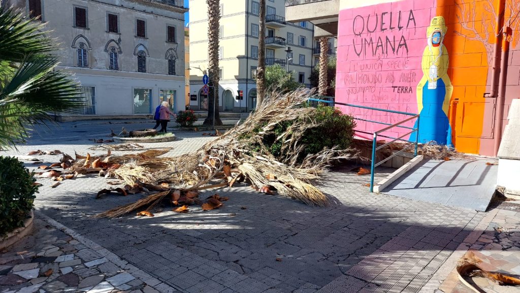 Il vento non dà tregua, una trentina gli interventi dei Vigili del fuoco <span> (Video e foto)