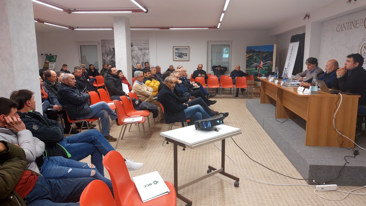 «Giovani, investite nel settore agricolo»: bando della Regione Marche incentiva l’avvio di un’attività <span> (Foto e Video)