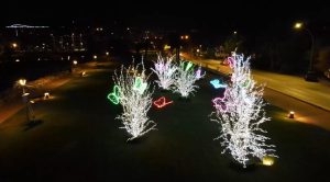 Ecco la magia delle luminarie Fainplast: il Giardino “Nuttate de Lune” bello come un sogno <span> (Video e foto) Ecco la magia delle luminarie Fainplast: il Giardino “Nuttate de Lune” bello come un sogno <span> (Video e foto)