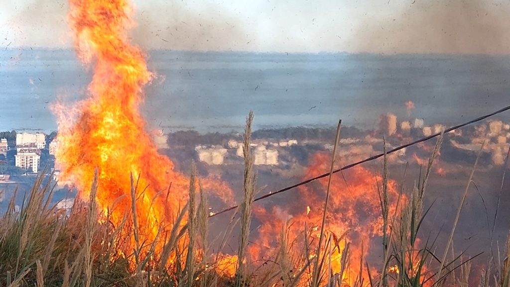 Paura sulla A14, l’incendio che lambisce l’arteria investe due auto incolonnate per il traffico <span> (Video e foto)