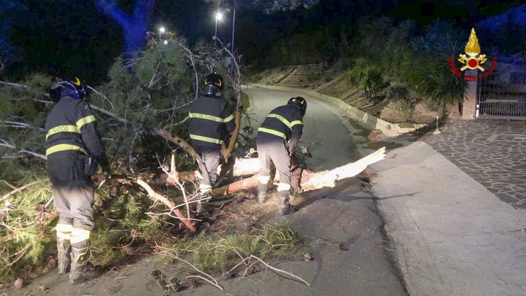 Raffiche di vento no stop su tutto il Piceno, numerosi gli alberi crollati: anche questa notte Vigili del fuoco al lavoro <span> (Video)