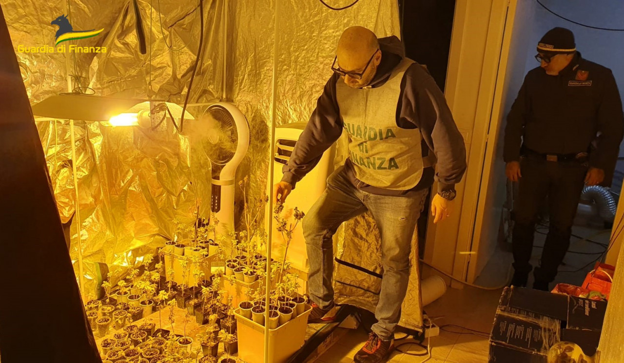 Blitz della Finanza, scovato laboratorio per la produzione di marijuana: arrestato un 31enne <span> (Video)