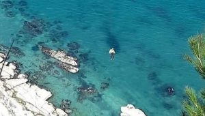 Tragedia sul Conero: una 50enne si sporge per fare una foto e precipita da oltre cento metri (Video e foto)