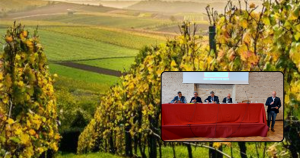 Settore vitivinicolo piegato dalla peronosfora, alla Vinea Regione e Ministero davanti i coltivatori <span> (Video)