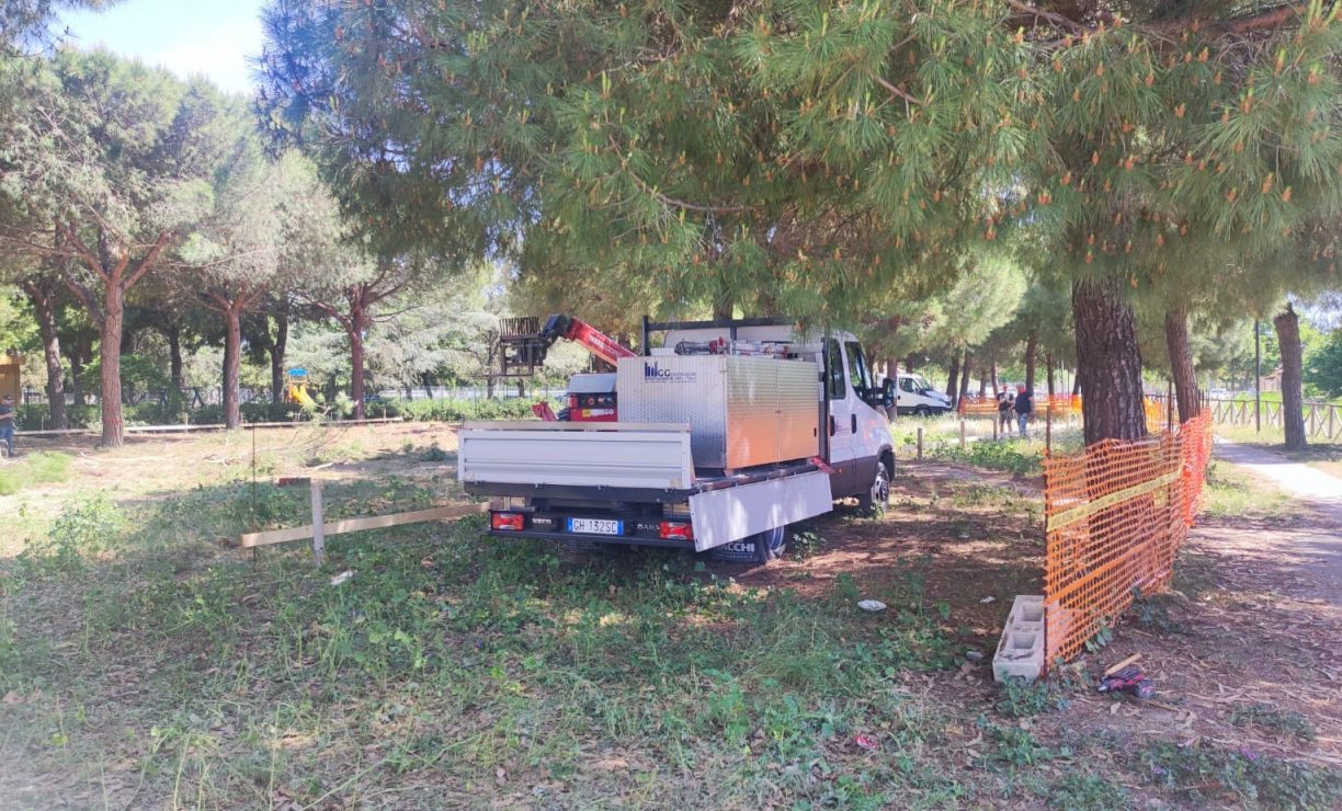 Abbattimento dei pini al campo sportivo “D’Angelo”: «Politica deleteria»
