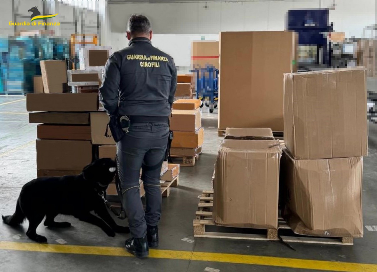 Aspettava oltre 55 chili di marijuana, ha trovato la Finanza: denunciato