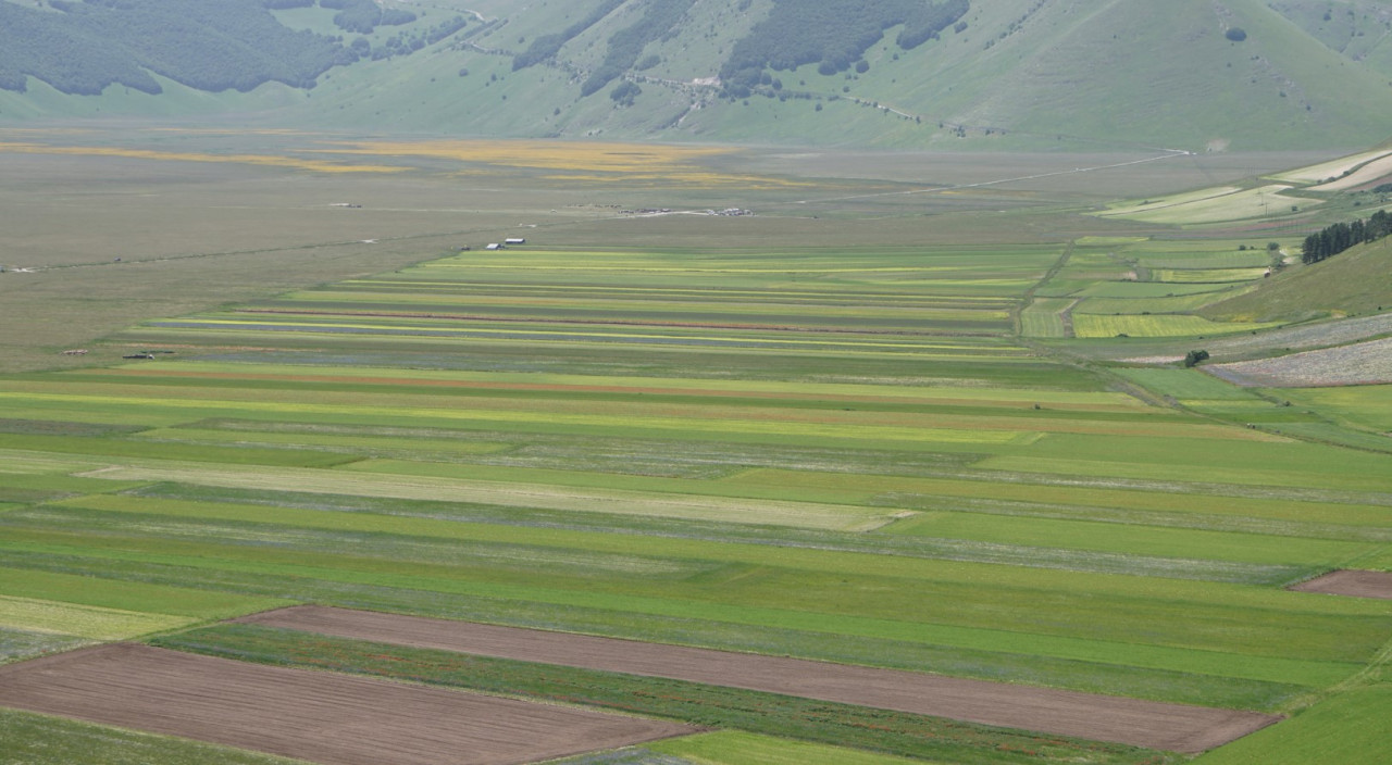 Le domeniche a Castelluccio: il piano viabilità per la fioritura