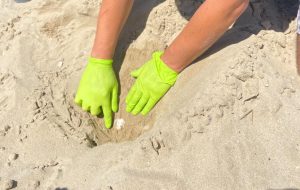 Cupra, occhi puntati sul nido di tartaruga <span> (Video e foto)