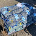 Cinquanta chili di vongole senza tracciabilità: sequestro al porto