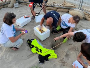 Triste scoperta a Cupra, le 67 uova di tartaruga Caretta caretta non sono vitali <span> (Video) </span> Triste scoperta a Cupra, le 67 uova di tartaruga Caretta caretta non sono vitali <span> (Video) </span>