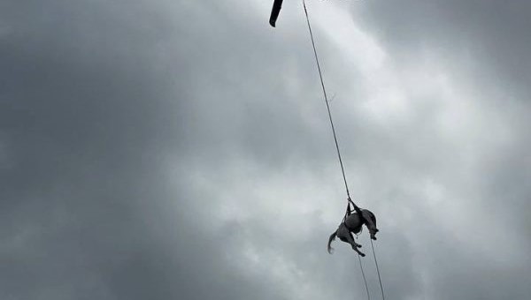 Spettacolare operazione di recupero di un cavallo sui monti Sibillini <span> (Video) </span>