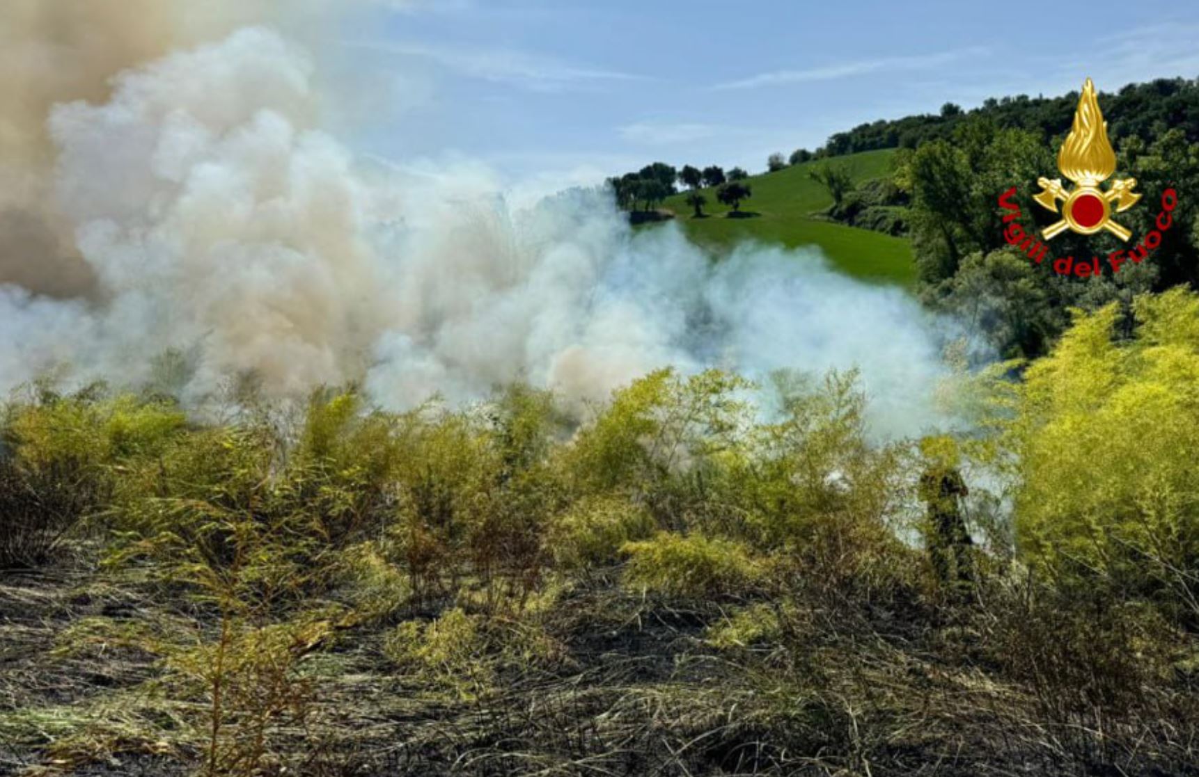 S’incendia un campo a Palmiano, dopo ore di intervento la situazione è sotto controllo <span> (Video)