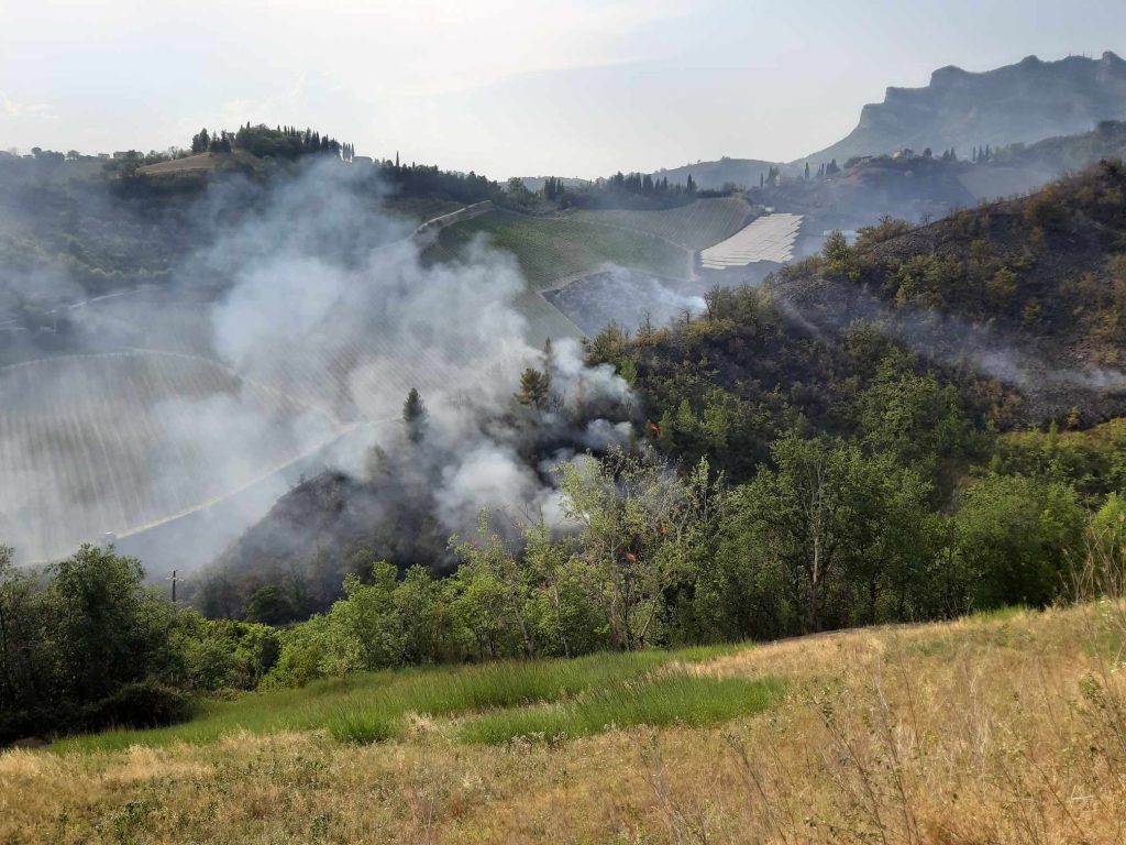 Sotto controllo l’incendio a Colonnata, notte sul posto per i vigili del fuoco <span> (Video) </span>