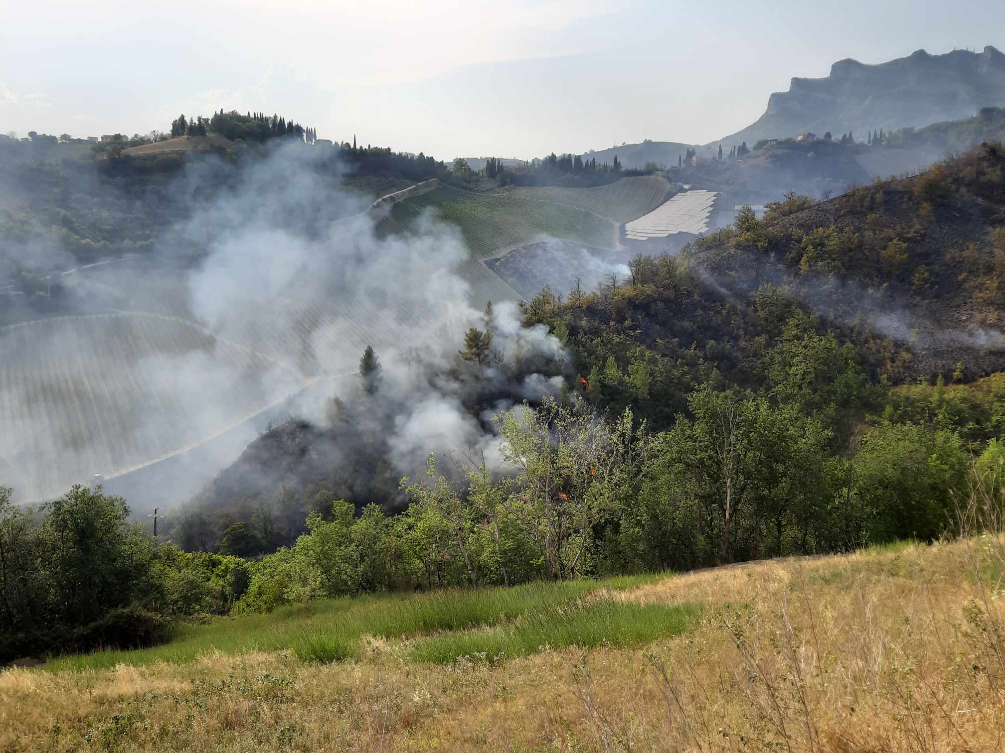 Sotto controllo l’incendio a Colonnata, notte sul posto per i vigili del fuoco <span> (Video) </span>