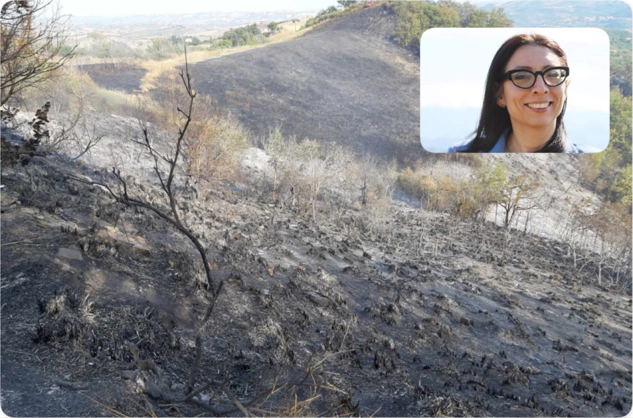 Incendio di Colonnata, Francesca Pantaloni (Pantaleone): «Vigneti salvi, danni all’oliveto e al bosco»