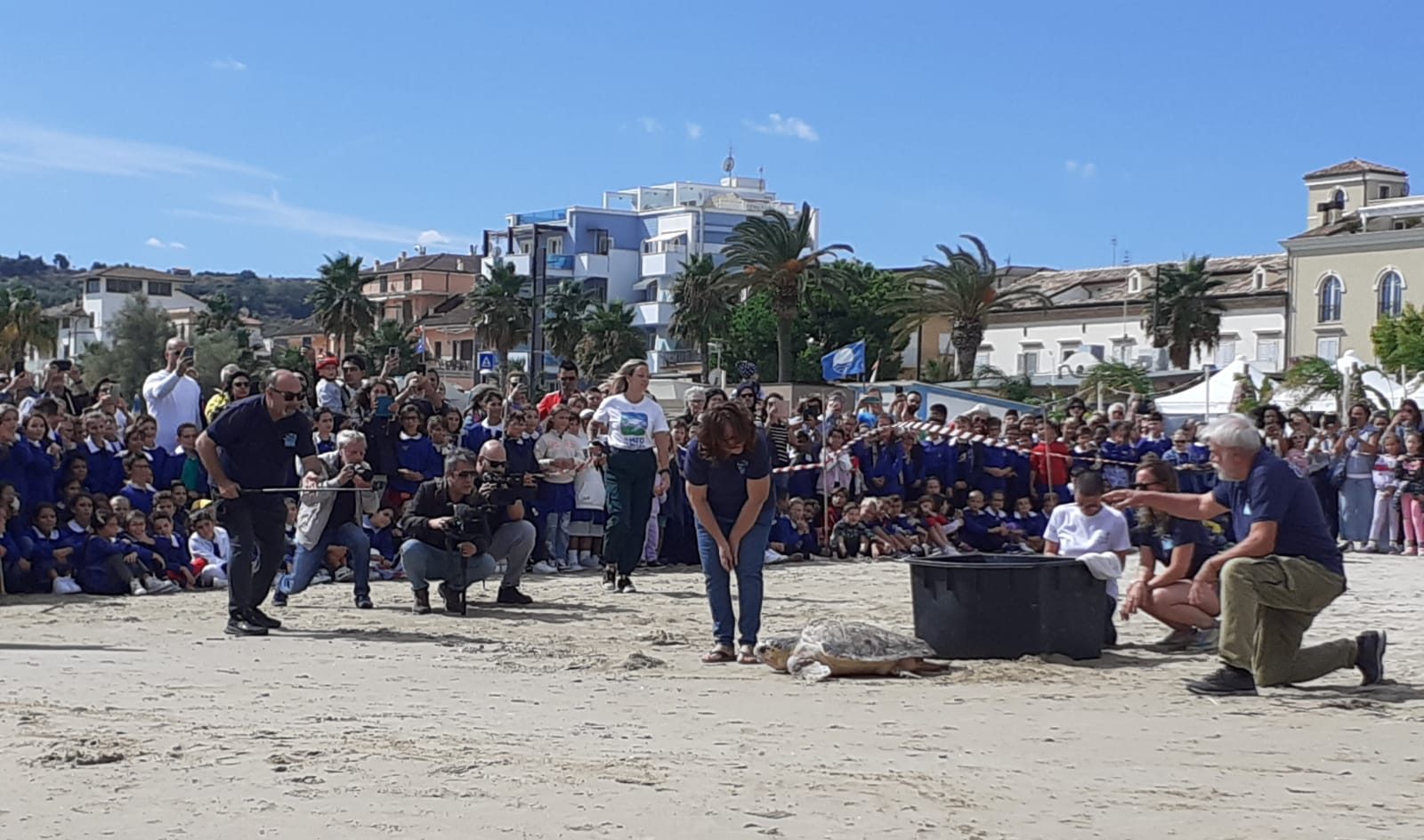 La tartaruga Caretta caretta è tornata in mare