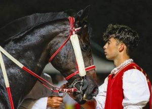 Quintana di Foligno, l’offidano Dimarti al Badia: «Un sogno che si realizza» Quintana di Foligno, l’offidano Dimarti al Badia: «Un sogno che si realizza»