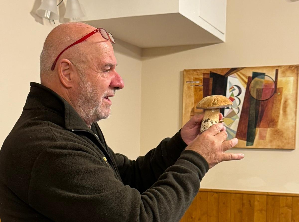 Raccolta funghi, l’Unione Montana forma i cercatori