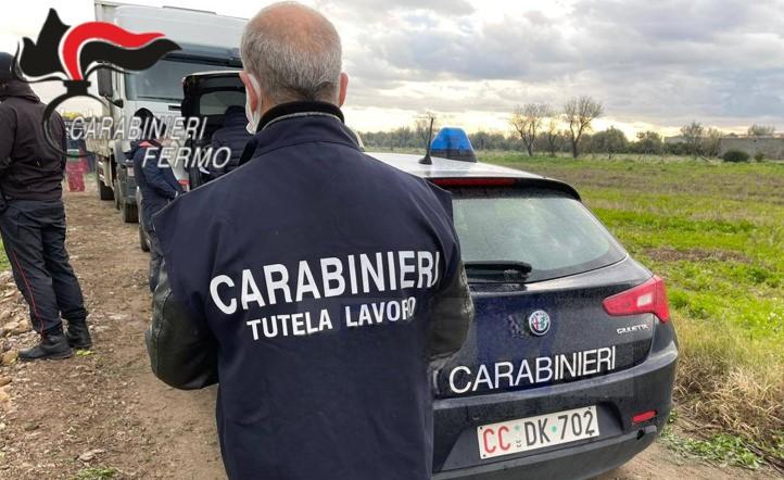 Favoreggiamento dell’immigrazione clandestina: denunciati i titolari di un’azienda agricola