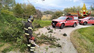 Vento forte sul Piceno, oltre venti interventi: messa in sicurezza la palestra dell’istituto “Ulpiani” <span> (Video) </span> Vento forte sul Piceno, oltre venti interventi: messa in sicurezza la palestra dell’istituto “Ulpiani” <span> (Video) </span>