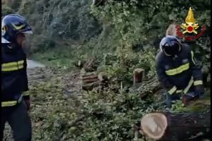 Il Piceno sferzato dal vento per tutta la giornata, disagi ad Acquasanta <span> (Video) </span>
