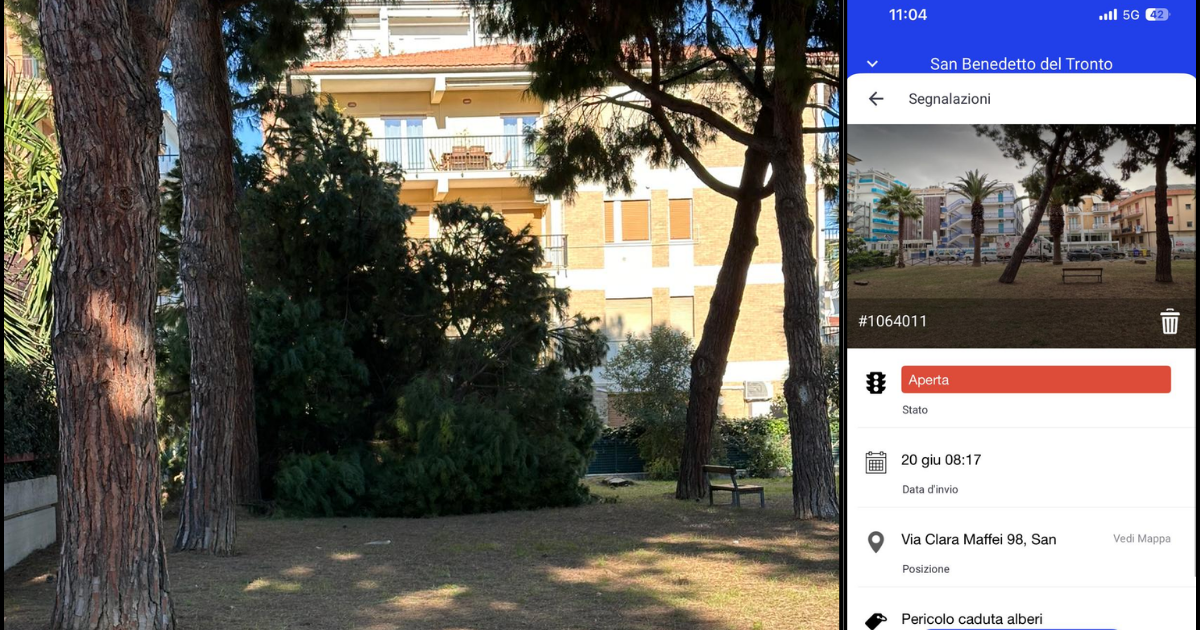Cade un pino pericolante: fu segnalato all’App Municipium il 20 giugno, nessuno gli diede retta