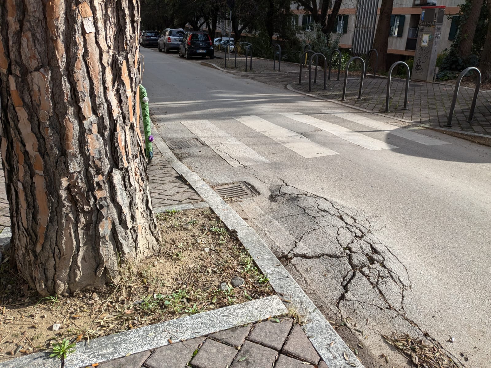Asfalto sconnesso in via Napoli: corsa a ostacoli tra radici e avvallamenti per auto e moto