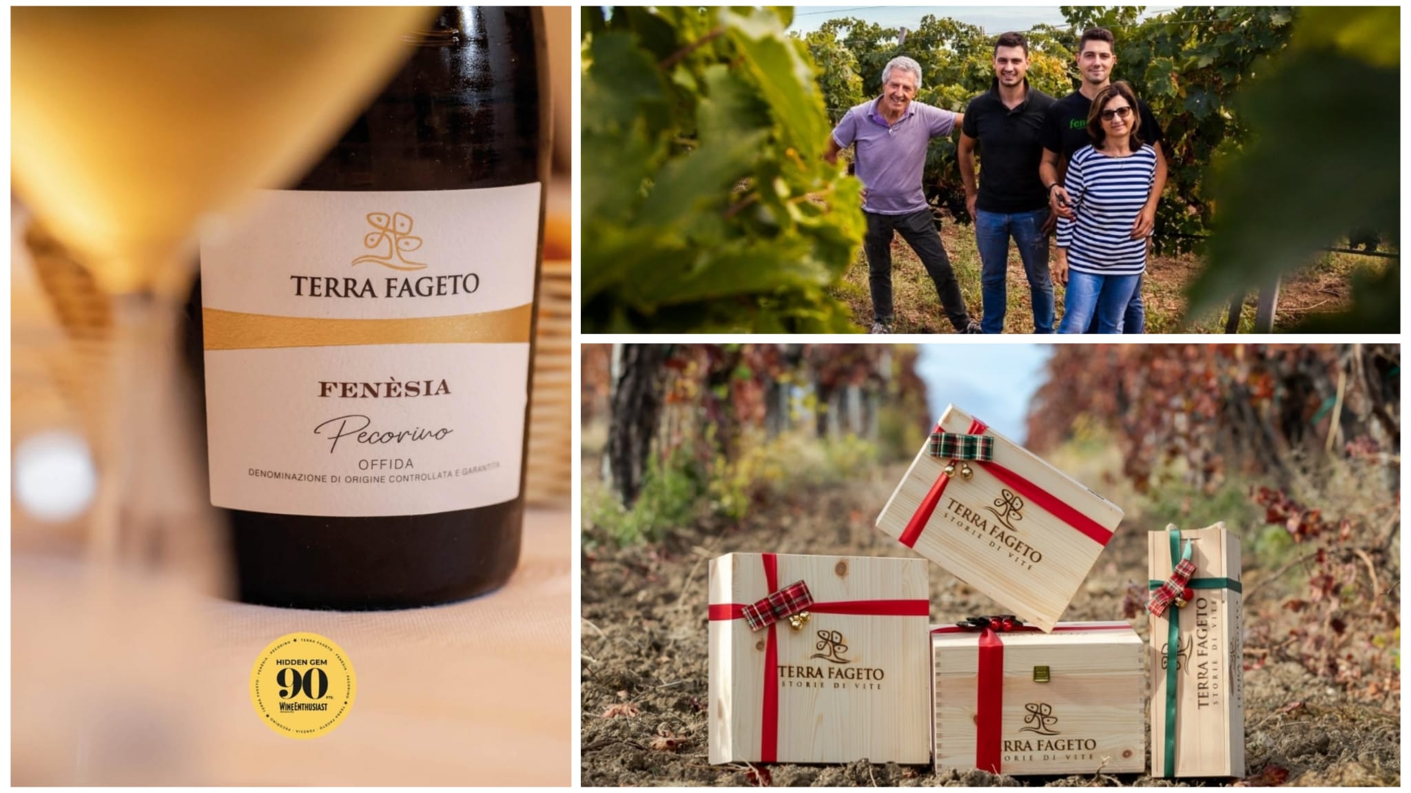 L’Offida Pecorino Fenèsia è da “90” per la rivista Wine Enthusiast. Il vino di Terra Fageto in partenza per gli Usa