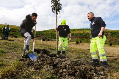 Relluce: da discarica a “Fabbrica del Futuro” con 500 nuovi alberi