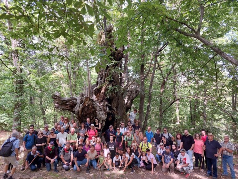 Festival culturale dei borghi rurali della Laga, la cerimonia di apertura a Palazzo dei Capitani