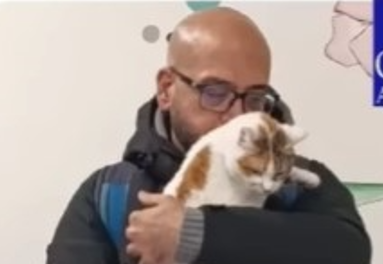 Micia smarrita a Roma, ritrovata ad Ancona: la storia di Jean Pierre e Phoebe