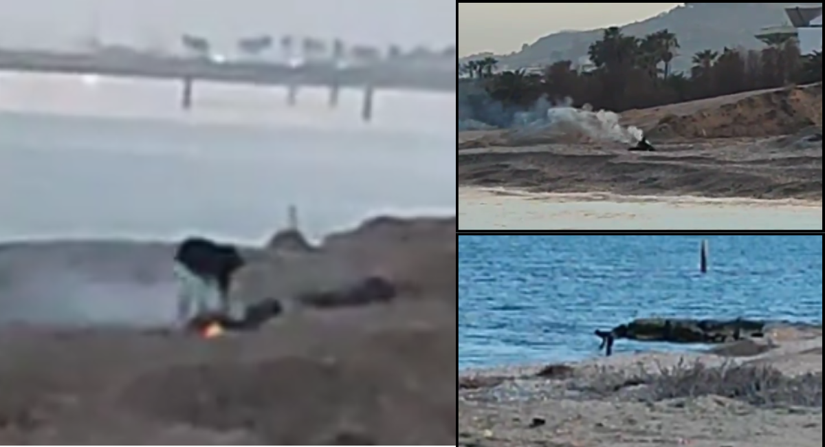 «Vive in spiaggia, accende fuochi e si lava sul mare: nessuno si prende cura di lui»