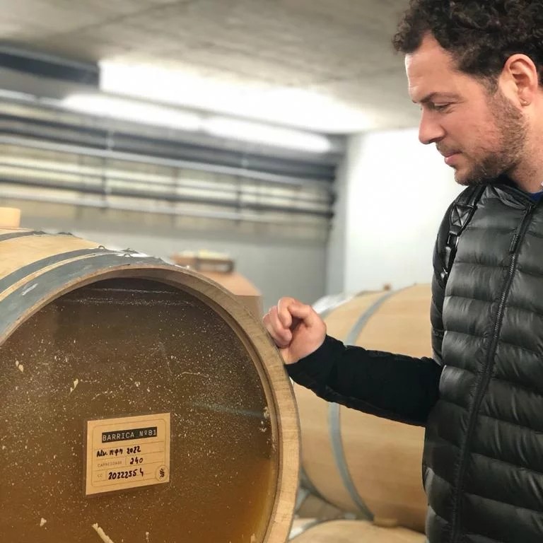 Entro la fine dell’estate le prime bottiglie di vino dealcolato Made in Piceno