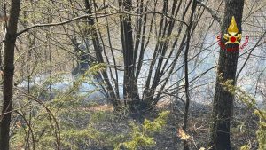 Incendio nei boschi di Spelonga domato dai vigili del fuoco