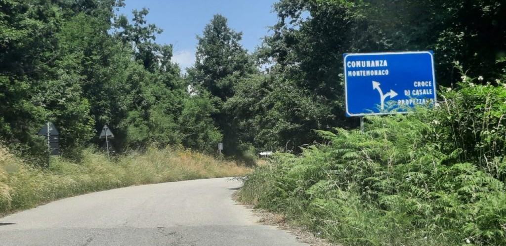 Strade dimenticate tra i Sibillini: erba alta, segnaletica coperta e sicurezza a rischio