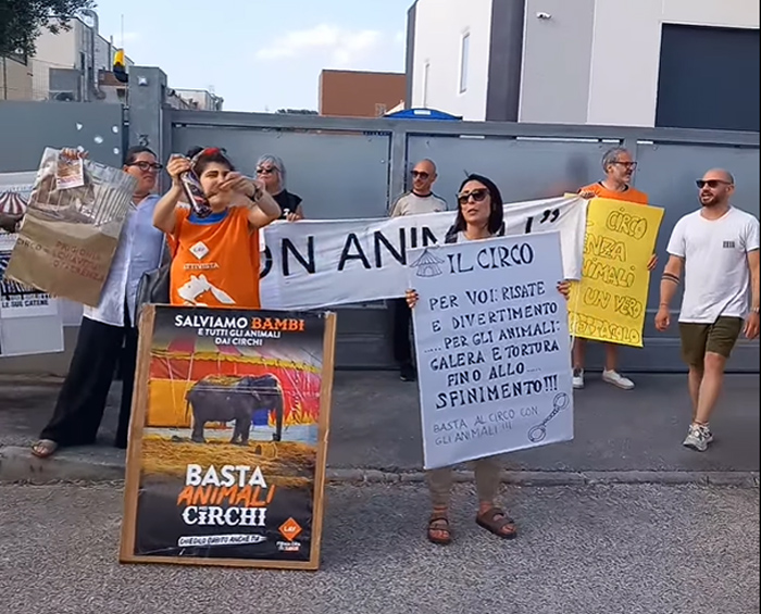«Animali liberi», sit-in di protesta davanti al circo