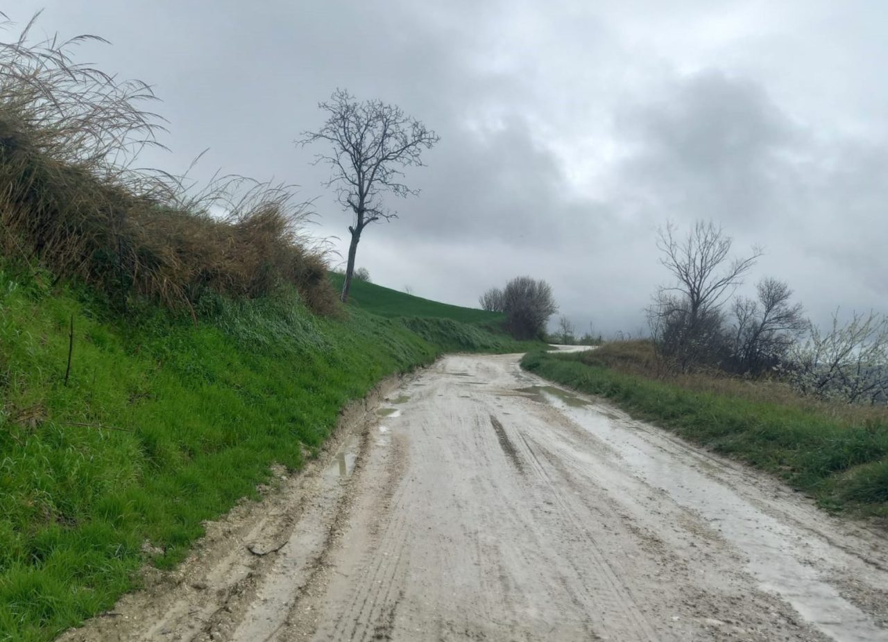 Strada “San Taddeo”, il sindaco Lupi: «Necessaria la messa in sicurezza»