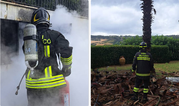 Palma bruciata da un fulmine e contatori elettrici in fiamme 