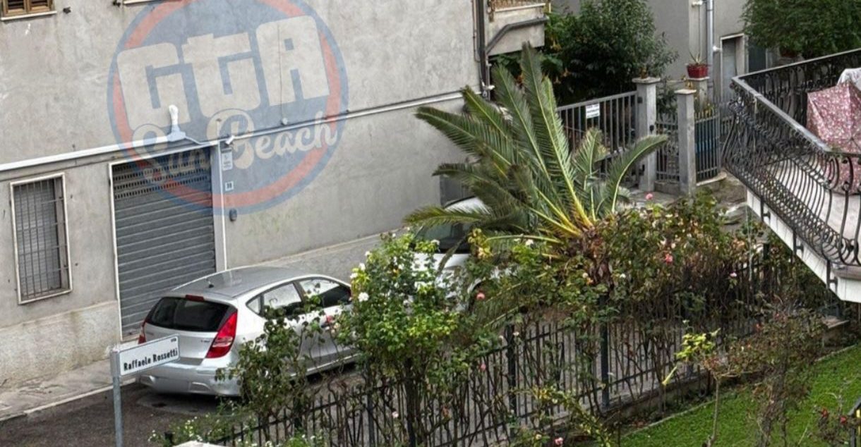 Paura a Porto d’Ascoli: grossa palma crolla su un’auto in sosta