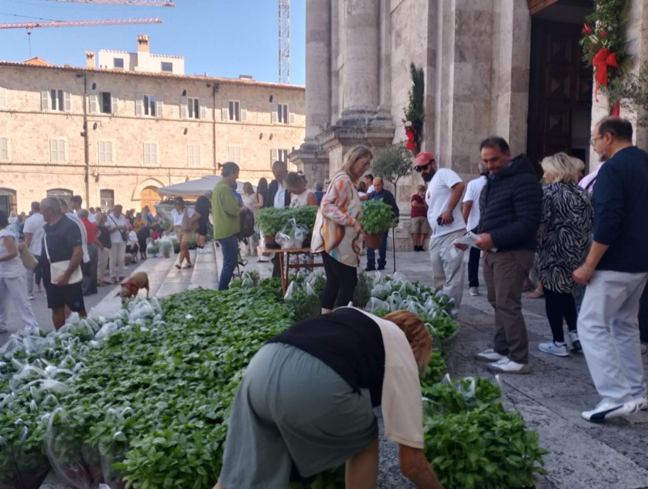 Sant’Emidio tra fede, tradizione e basilico: in migliaia per le vie del centro