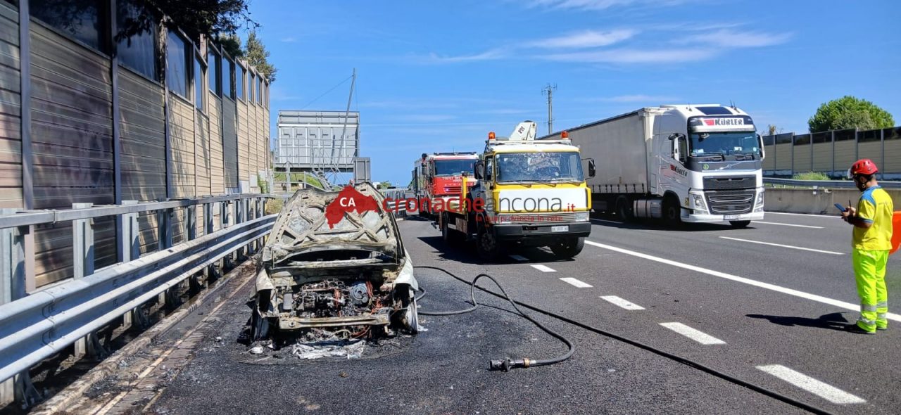 Auto a <span>fuoco</span> in A14, <br> bruciano anche gli alberi