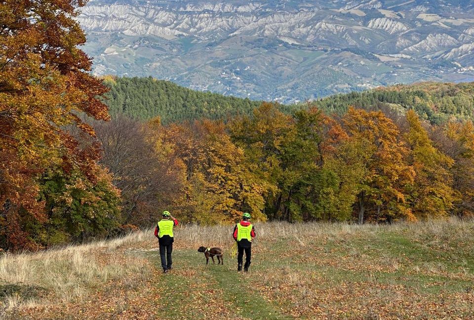Unità cinofile del Soccorso Alpino in addestramento nel Piceno