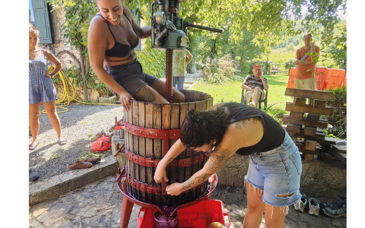 «La vendemmia è stata ottima, sia per qualità che per quantità»